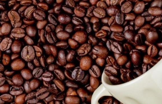 Giá cà phê hôm nay (28/11) đi ngang ở cả thị trường trong nước và quốc tế