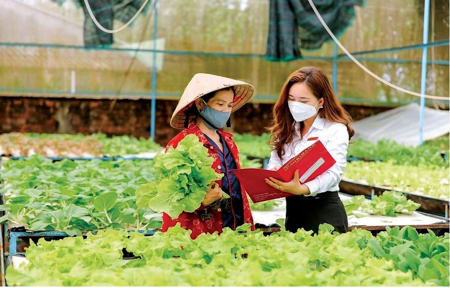 Agribank đồng hành cùng nông dân phát triển kinh tế. Ảnh: Diệu Linh