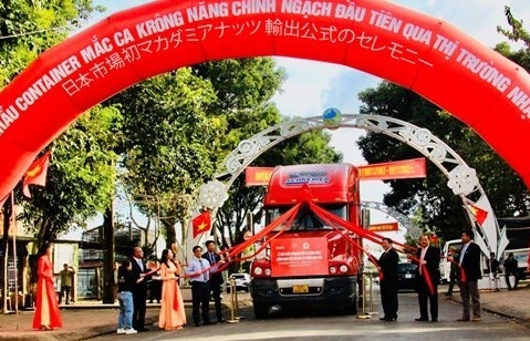 Đắk Lắk: Xuất khẩu lô mắc ca chính ngạch đầu tiên qua thị trường Nhật Bản
