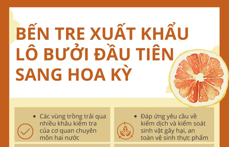 Bến Tre xuất khẩu lô bưởi đầu tiên của Việt Nam sang Hoa Kỳ