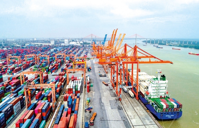 DATC chung tay vực dậy thành công doanh nghiệp hàng hải hàng đầu Việt Nam