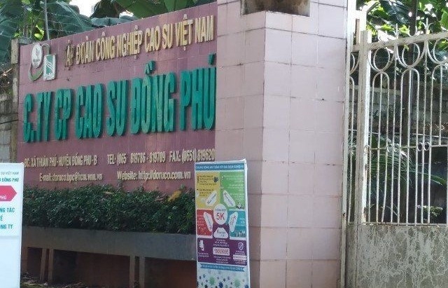 Đồng Phú Đắk Nông sáp nhập vào Cao su Đồng Phú: Liệu tình hình kinh doanh có khả quan?