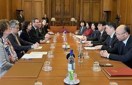 Vietnam joins Multilateral Convention to tackle tax evasion and avoidance
