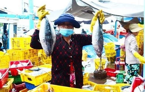 Tuna exporters aiming for smaller markets