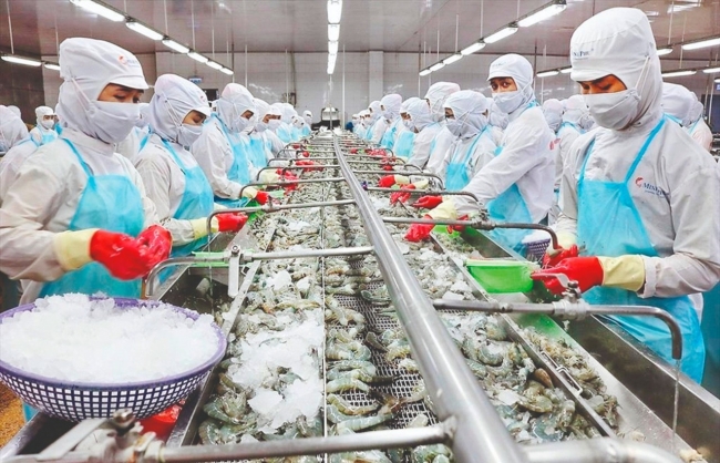 vi sao xuat khau thuy san van tram lang