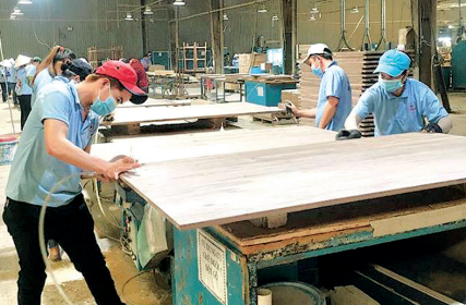 Doanh nghiệp cần tuân thủ các quy định để được hoàn thuế