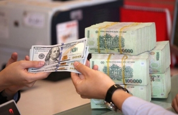 Tỷ giá hôm nay (30/11):  Đồng USD trong nước điều chỉnh giảm, thế giới quay đầu tăng