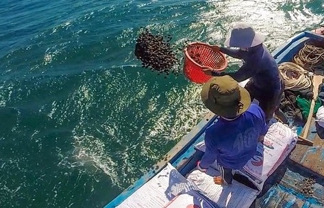 Đảm bảo tài chính bền vững cho tổ chức cộng đồng quản lý bảo vệ nguồn lợi thuỷ sản