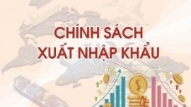 Lưu ý khai báo hải quan phải phù hợp với bản chất hàng hóa