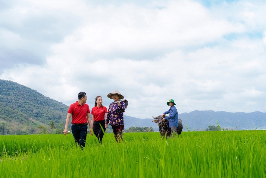 Agribank accompanies the sustainable development of 1 million hectares specializing in high-quality rice cultivation