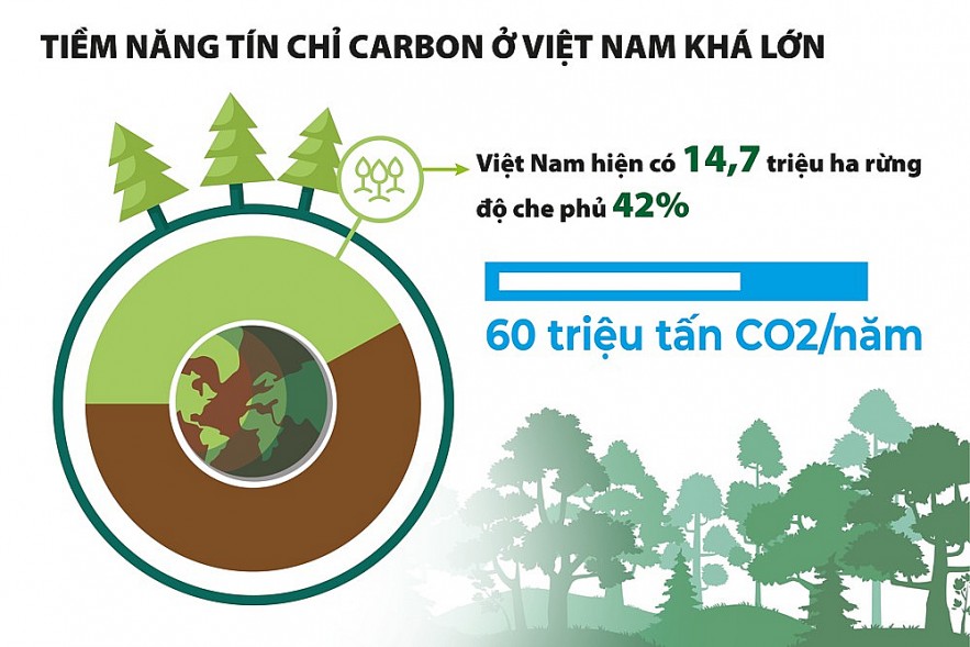 Phát triển đồng bộ các thị trường liên quan đến kinh tế xanh