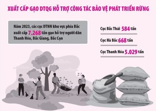 Hơn 7.000 tấn gạo dự trữ hỗ trợ người dân chăm sóc, bảo vệ và phát triển rừng