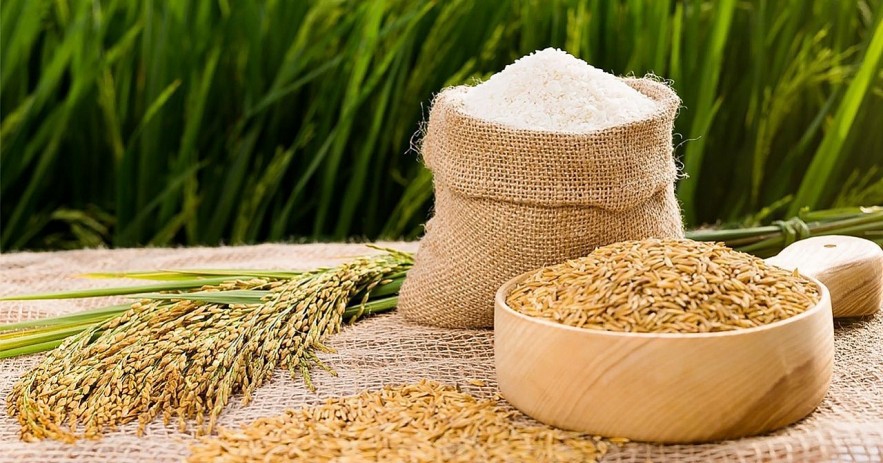 Ngày 4/3: Giá lúa gạo tăng, giảm trái chiều sáng đầu tuần