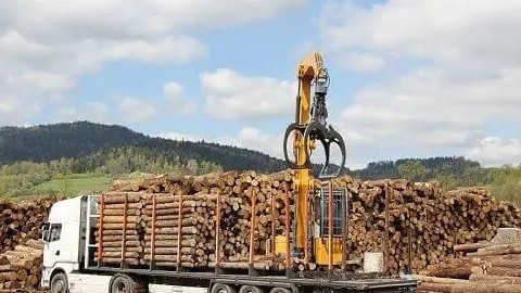 Việt Nam - Hoa Kỳ: Thiết lập khung pháp lý quản lý rủi ro, chống buôn bán gỗ trái phép