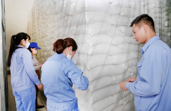Xuất cấp hơn 1.266 tấn gạo hỗ trợ người dân 4 huyện ở Thanh Hóa chăm sóc, bảo vệ rừng