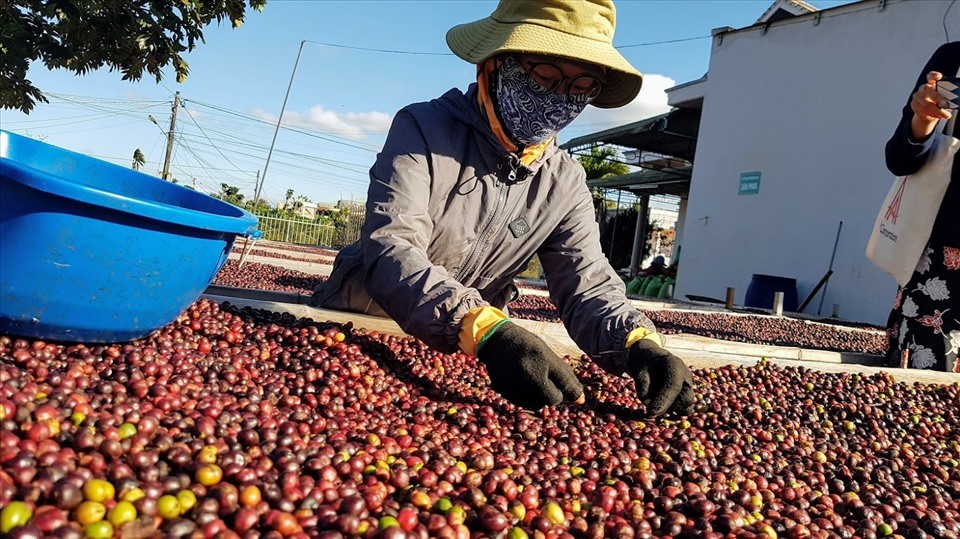 Các mặt hàng nông lâm thủy sản đã sẵn sàng tăng tốc xuất khẩu