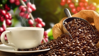 Ngày 26/4: Giá cà phê tiếp đà tăng, hồ tiêu và cao su giảm