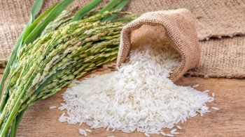 Ngày 19/5: Giá lúa gạo thị trường trong nước duy trì ổn định