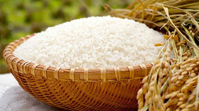 Ngày 20/5: Giá gạo trong nước ít biến động, gạo xuất khẩu duy trì ổn định sáng đầu tuần
