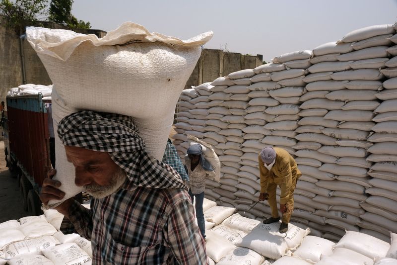 Thị trường nông sản tuần qua: Giá gạo Ấn Độ, Thái Lan giảm do chi phí vận chuyển và cạnh tranh