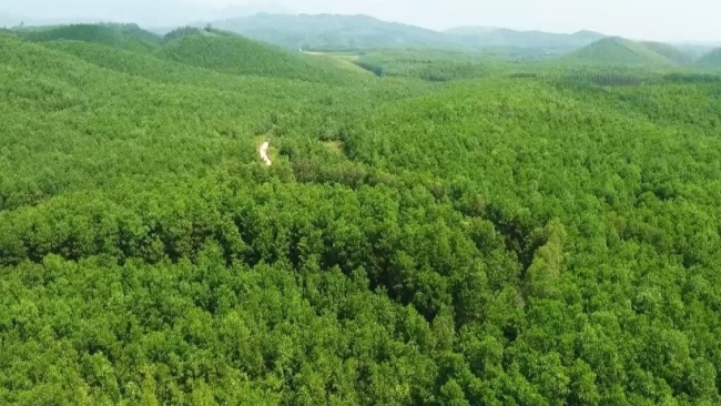 Hợp tác công - tư trong việc phát triển giá trị đa dụng của hệ sinh thái rừng