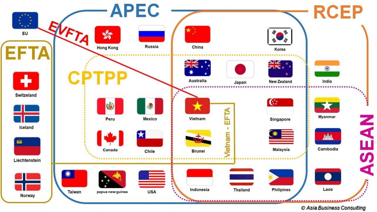 Tổng hợp các FTA của Việt Nam hiện nay.