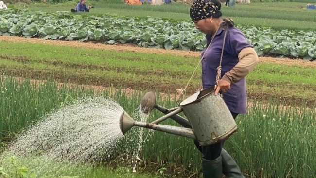 Hà Nội: Đời sống nông dân không ngừng được cải thiện và nâng cao