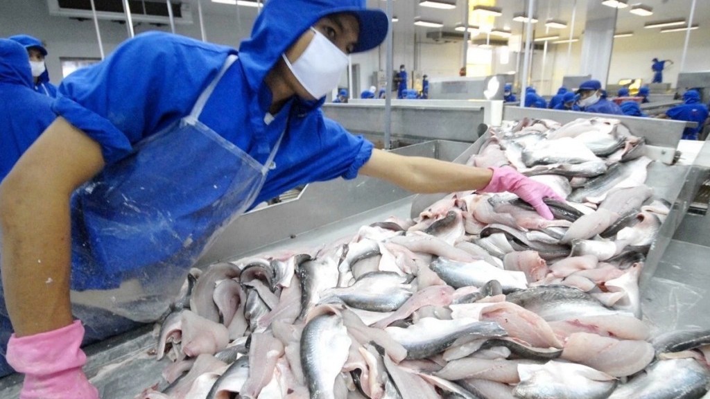 Trung Quốc đứng đầu về thị trường tiêu thụ cá tra Việt Nam