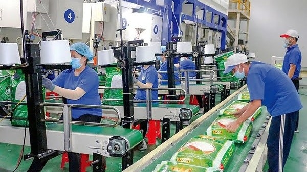 Gạo Việt Nam duy trì vị trí số một về xuất khẩu vào thị trường Singapore