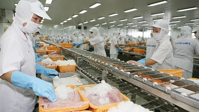 Còn nhiều dư địa phát triển thương mại và đầu tư từ EVFTA