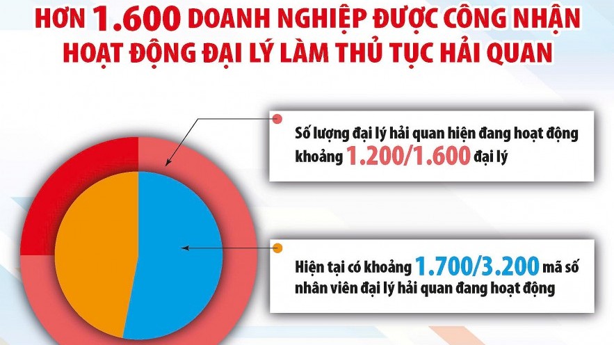 Chung tay phát triển đại lý làm thủ tục hải quan hỗ trợ doanh nghiệp xuất nhập khẩu