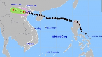 Thời tiết ngày 8/9: Phía Đông Bắc Bộ và Thanh Hóa có mưa to