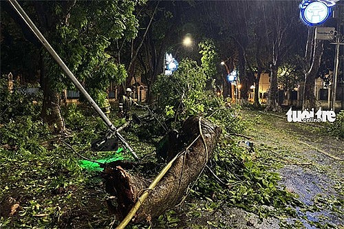 Chùm ảnh Hà Nội, Hải Phòng, Quảng Ninh tan hoang sau bão