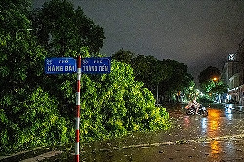 Chùm ảnh Hà Nội, Hải Phòng, Quảng Ninh tan hoang sau bão