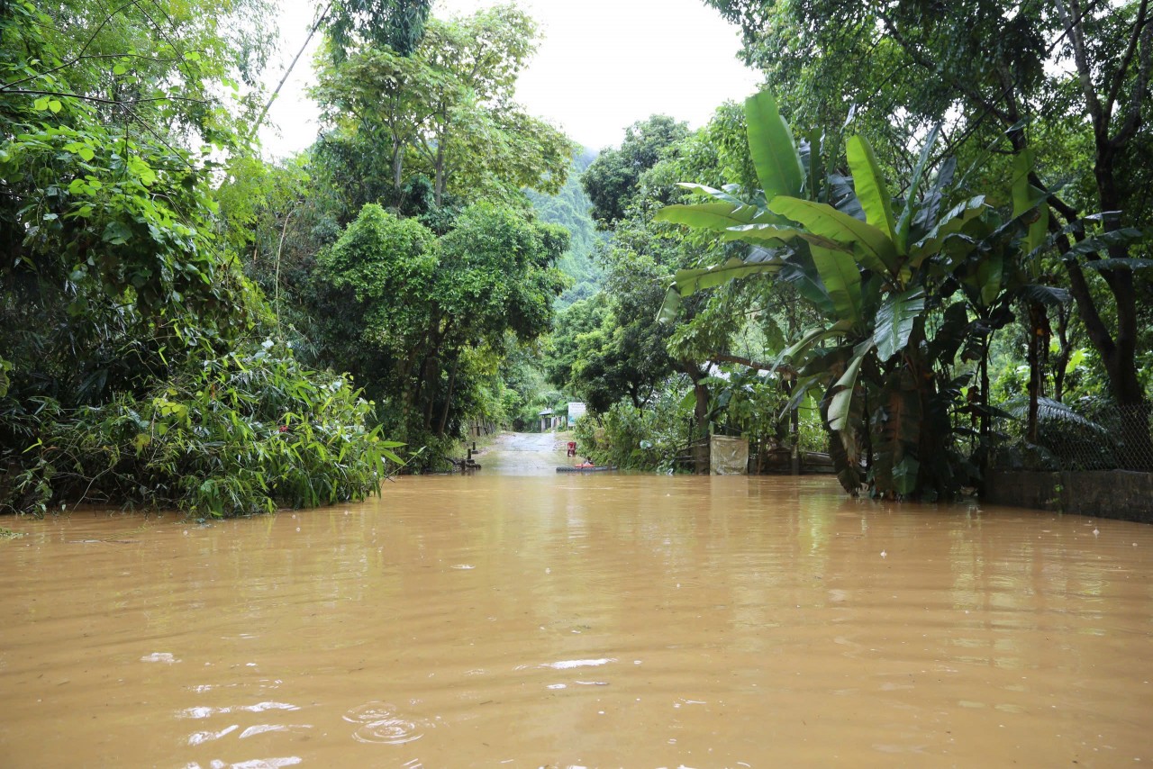 Phó Thủ tướng Hồ Đức Phớc kiểm tra, chỉ đạo khắc phục hậu quả mưa lũ tại Bắc Kạn