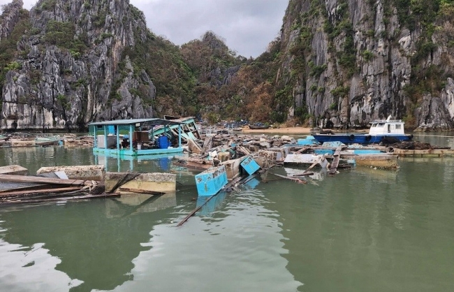 Quảng Ninh: Gỡ khó cho người dân đang vay vốn ngân hàng bị ảnh hưởng của bão số 3