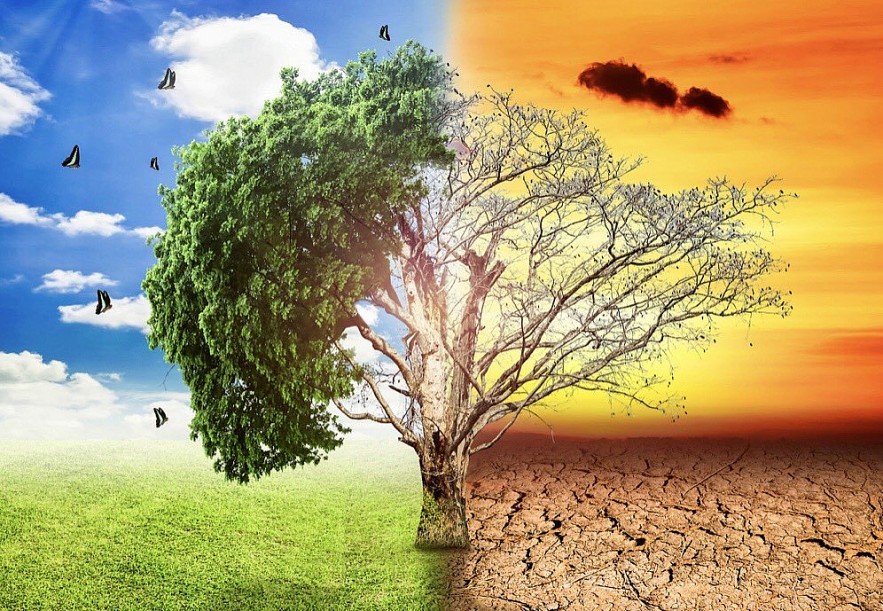 Tăng cường tuyên truyền ứng phó với biến đổi khí hậu, quản lý tài nguyên, bảo vệ môi trường