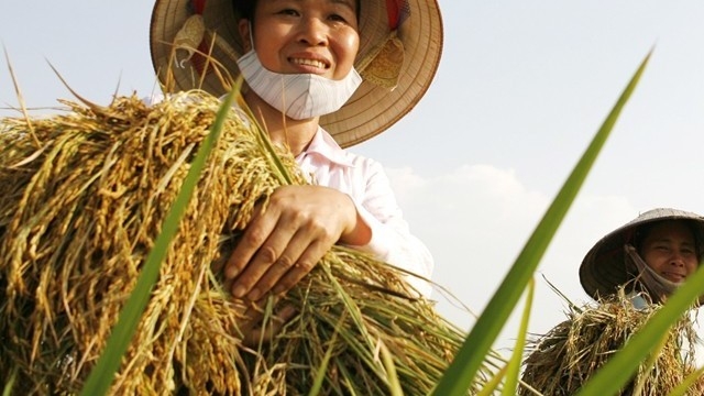 Diễn đàn lắng nghe nông dân nói