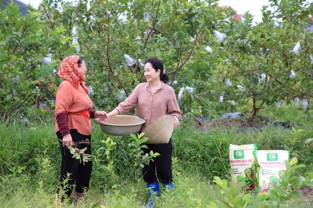 Giấc mơ bạc tỷ: Bi kịch khi làng lên phố