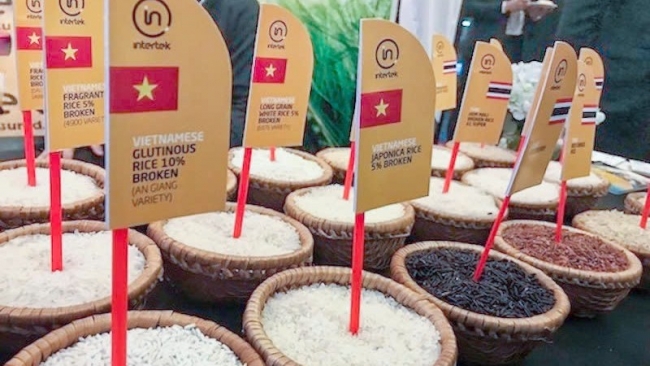 Đà giảm giá gạo trong 2 tháng cuối năm sẽ chậm lại