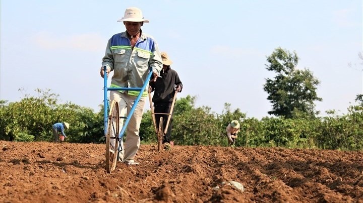 Miễn, giảm và ghi nợ tiền sử dụng đất cho hộ khó khăn