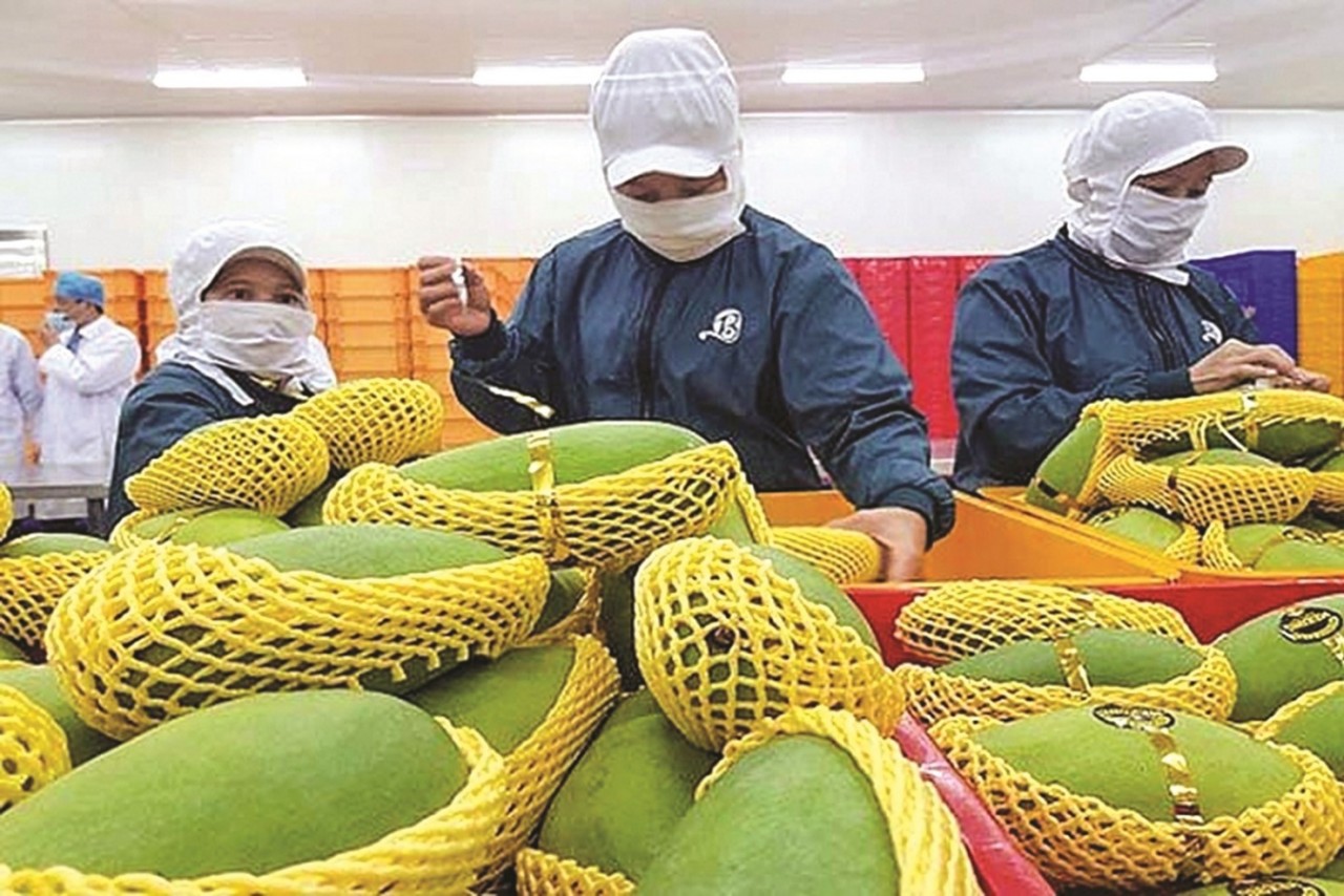 Doanh nghiệp TP.Hồ Chí Minh thích ứng trong bối cảnh chuyển đổi hành chính và kinh tế xanh