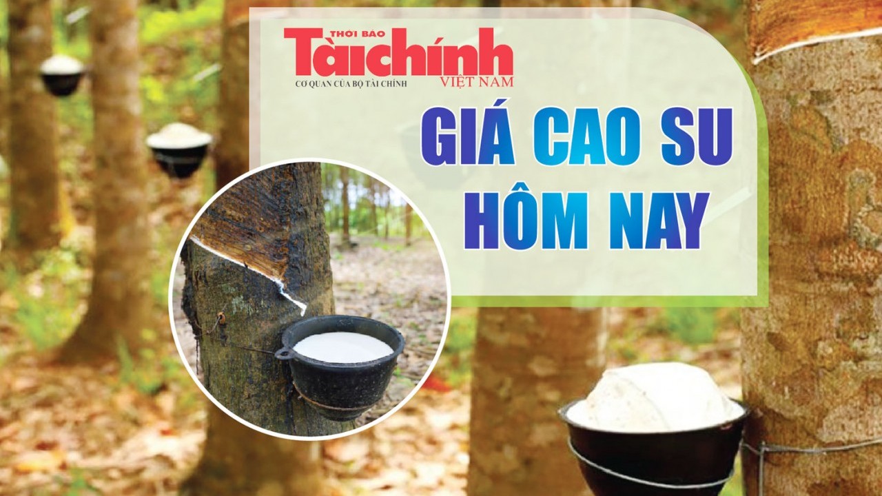 Ngày 25/12: Giá cao su trong nước và thế giới đồng loạt điều chỉnh tăng