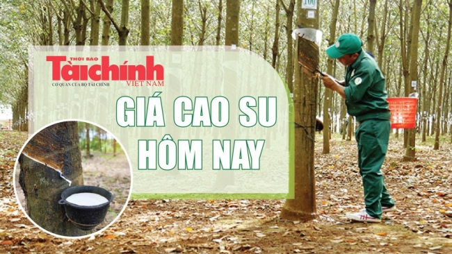 Ngày 31/12: Giá cao su trên các sàn giao dịch tiếp đà tăng