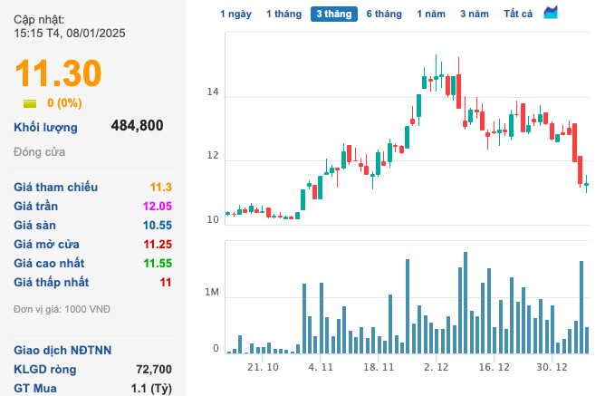 DIC Holdings bị HOSE nhắc nhở vì chậm công bố thông tin liên quan đợt chào bán cổ phiếu ra công chúng