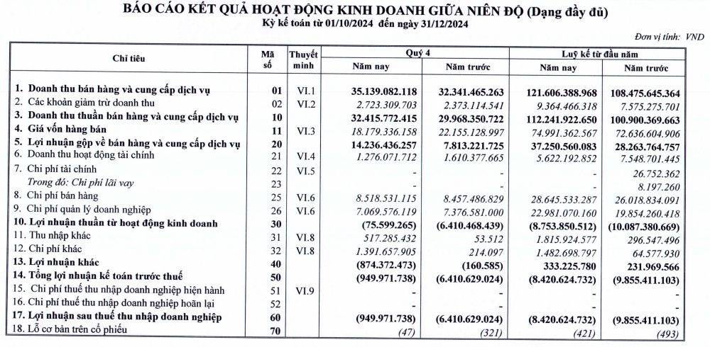 Halico nối dài chuỗi kinh doanh thua lỗ tới năm thứ 9