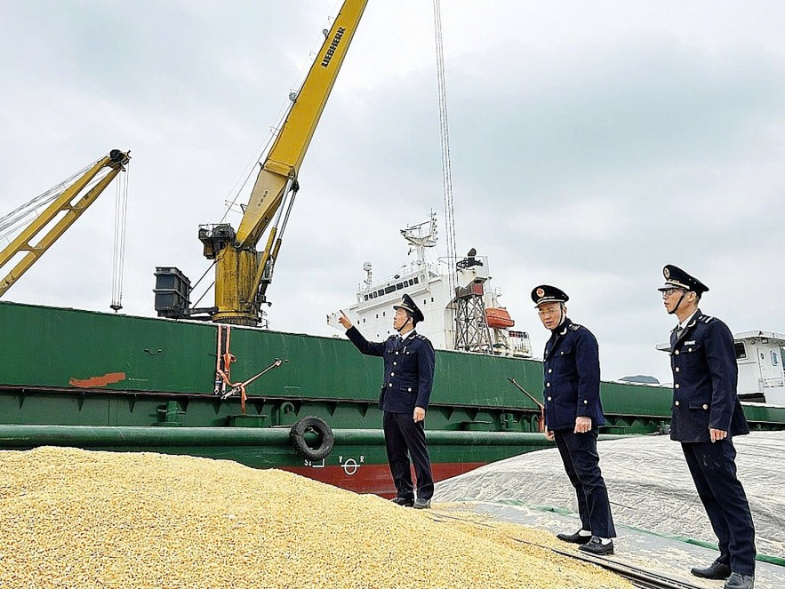 Tổng cục Hải quan chủ động triển khai các nhiệm vụ trọng tâm ngay từ đầu năm