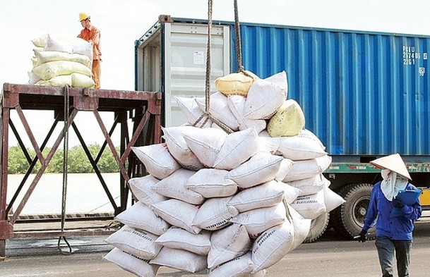 Xuất khẩu gạo sẽ gặp khó trong năm 2025?