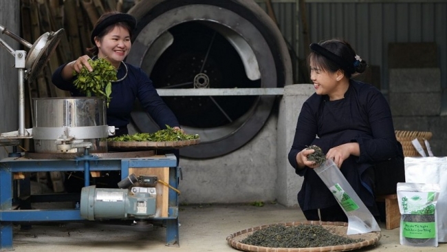 IFAD đầu tư vào tương lai xanh, thích ứng tốt hơn với biến đổi khí hậu tại Việt Nam