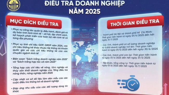 tu 14 tien hanh dieu tra doanh nghiep nam 2025 tren ca nuoc